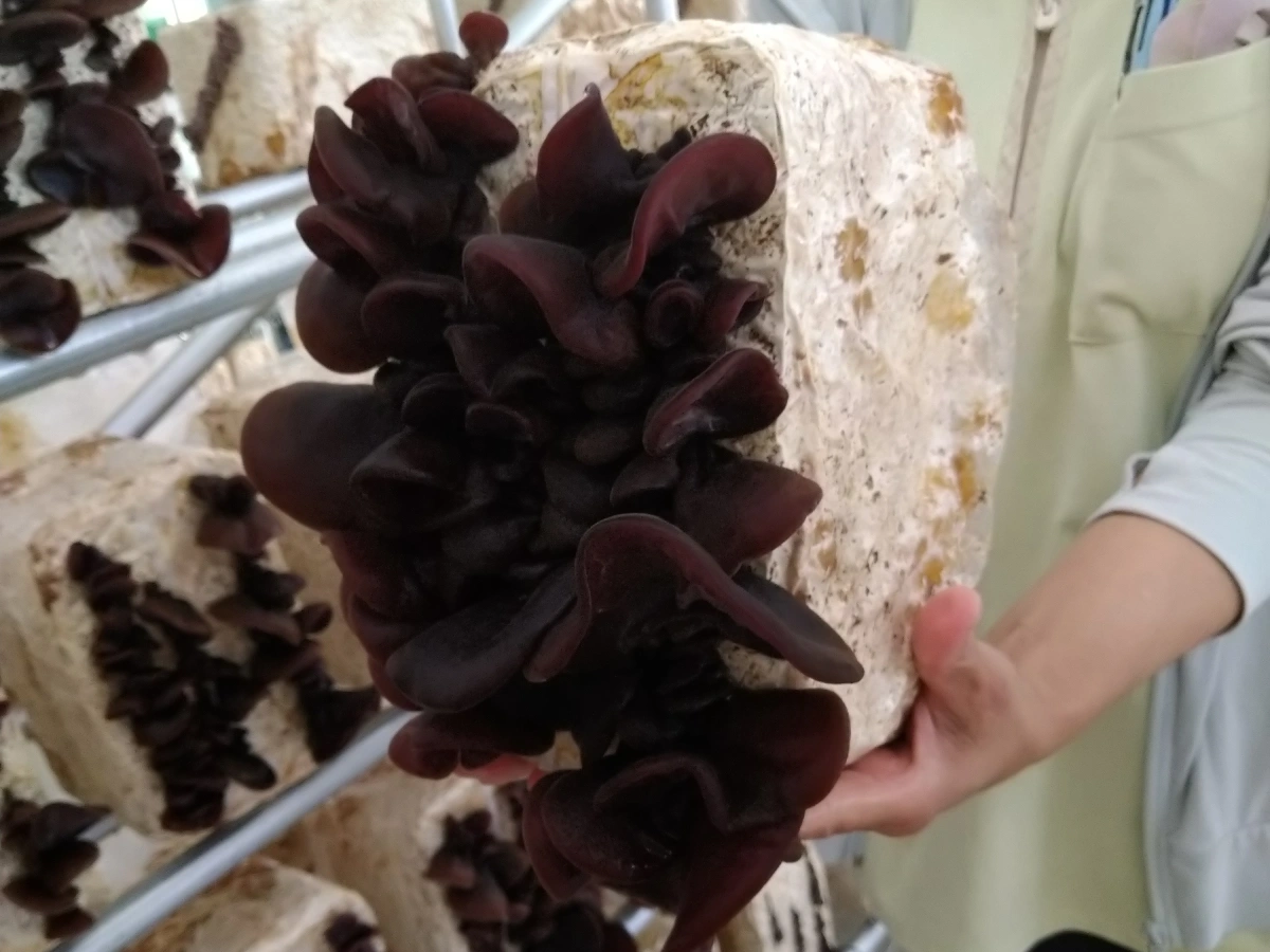 私たちのこだわり