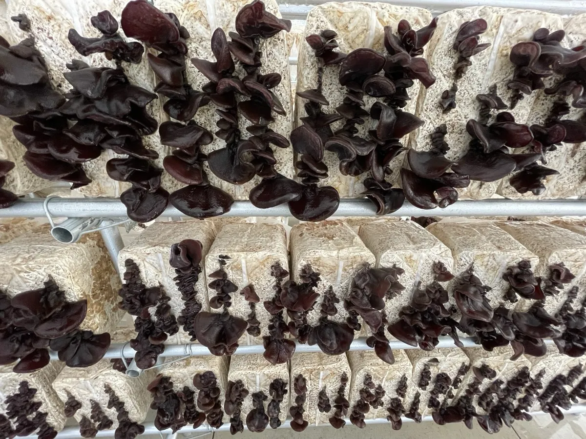 江田島の恵みと安全