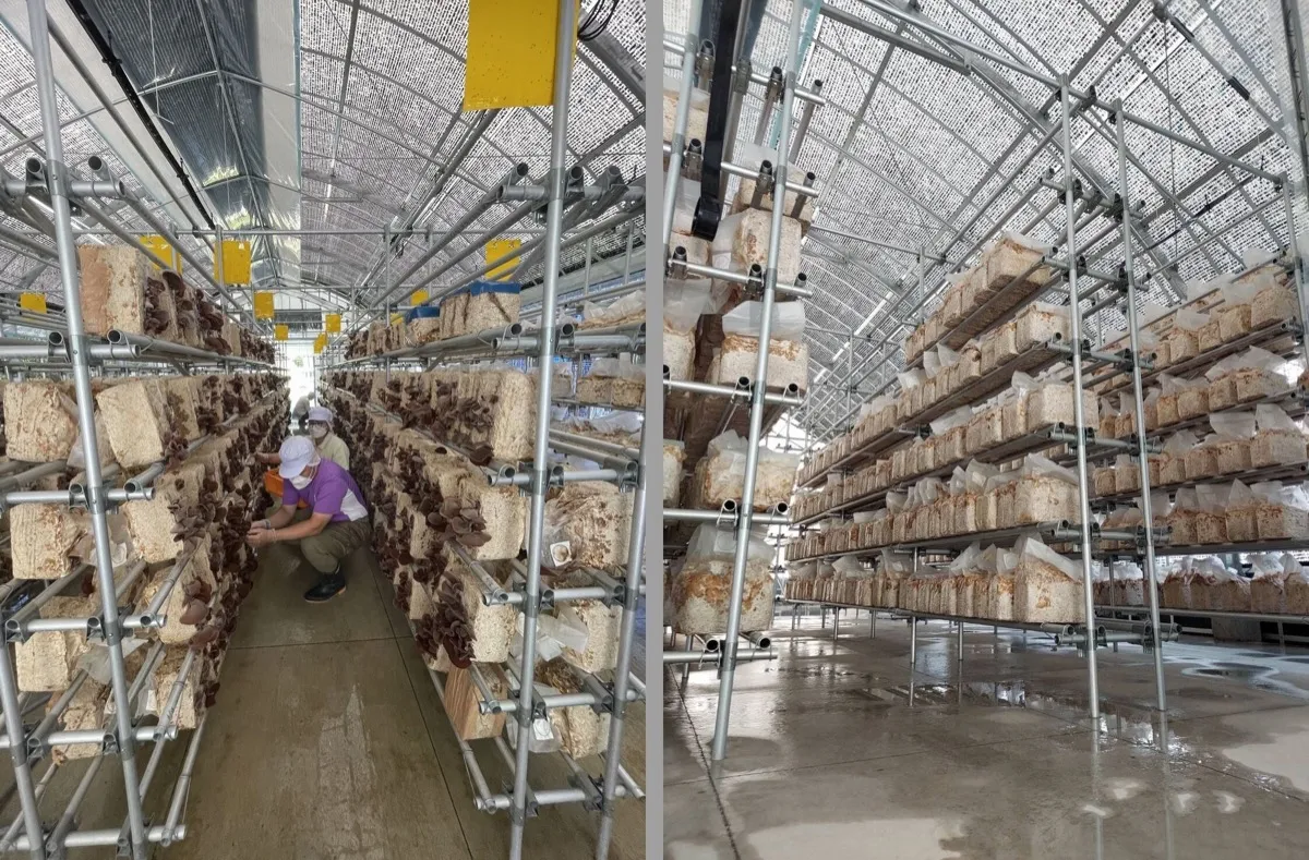 自然と安心へのこだわり