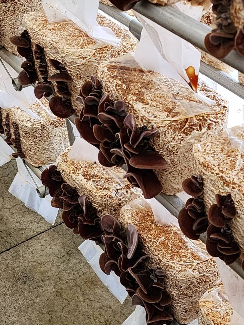 恵まれた栽培環境