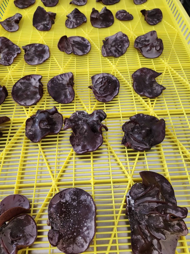 徹底した洗浄と選別